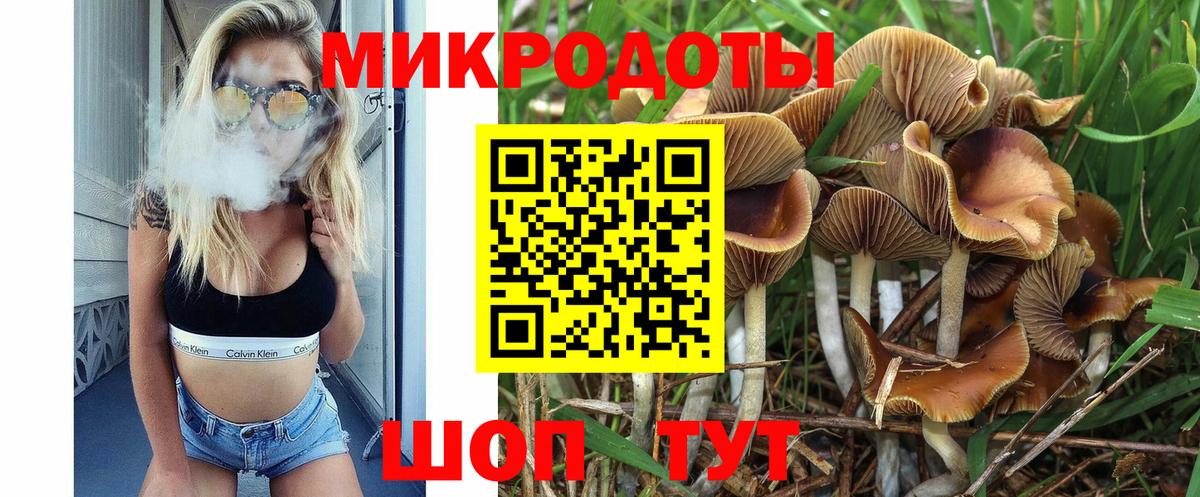 Псилоцибиновые грибы мицелий Благовещенск