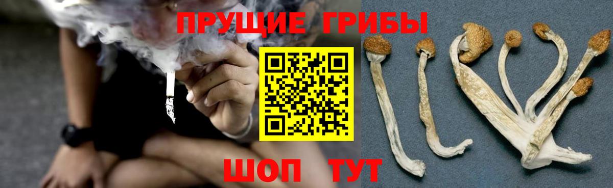 Галлюциногенные грибы ЛСД  Вход с VPN  Благовещенск 